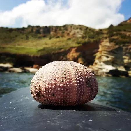 Scialii Сasa de vacaciones